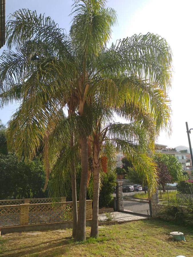 טאורמינה Villa Magnolia B&B מראה חיצוני תמונה